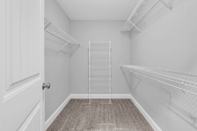 504 Sitka St, Clarksville, TN 37040