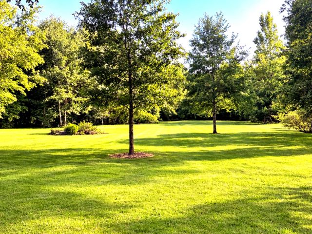 510 County Road 320, Cleveland, TX 77327