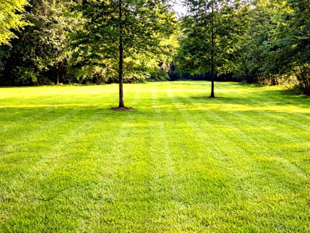 510 County Road 320, Cleveland, TX 77327