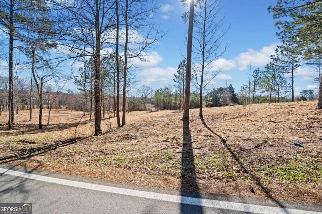 460 Mt. Olive Church Lane, White, GA 30184