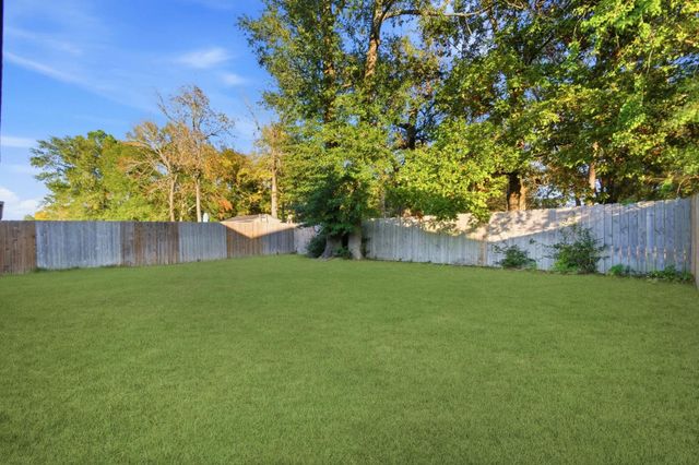 11962 Sunshine Park Drive N, Willis, TX 77318