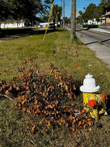 MARTIN LUTHER KING JR AVENUE, Clearwater, FL 33755