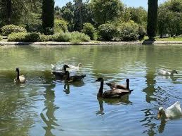 3775 Stoneyford Rd, West Sacramento, CA 95691