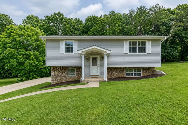45 Parrish Drive, Greeneville, TN 37743