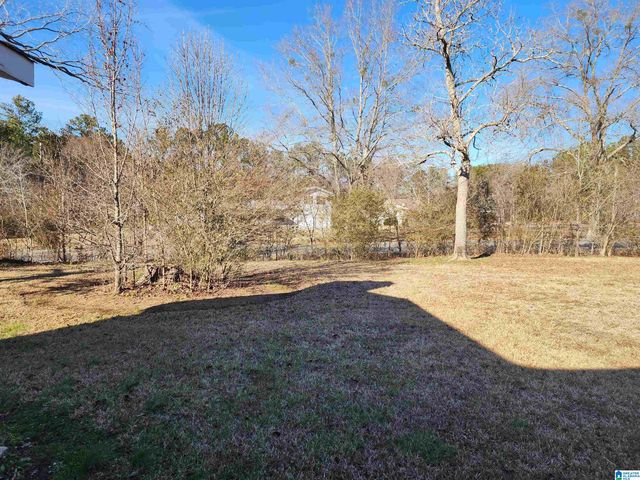 4034 POSSUM TROT ROAD, Piedmont, AL 36272