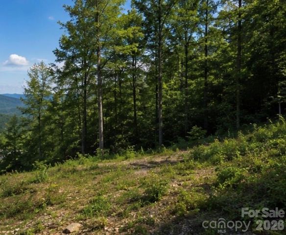 103 One Feather Road, Whittier, NC 28789