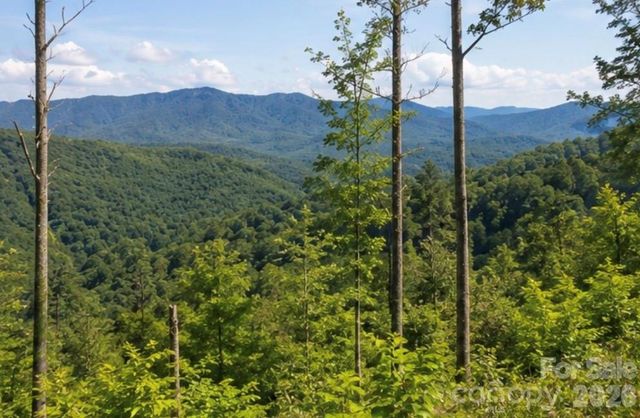 103 One Feather Road, Whittier, NC 28789