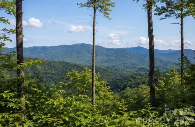 103 One Feather Road, Whittier, NC 28789