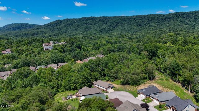 708 Willowcrest Place, Kingsport, TN 37660