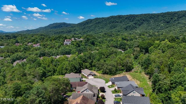 708 Willowcrest Place, Kingsport, TN 37660