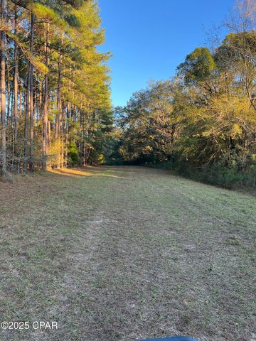 TBD Post Oak Lane, Bonifay, FL 32425