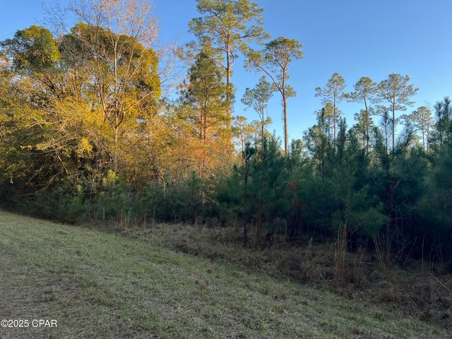 TBD Post Oak Lane, Bonifay, FL 32425