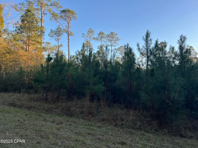 TBD Post Oak Lane, Bonifay, FL 32425