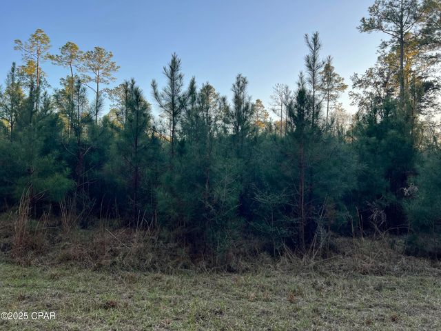 TBD Post Oak Lane, Bonifay, FL 32425