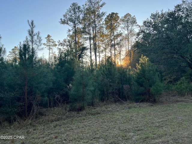 TBD Post Oak Lane, Bonifay, FL 32425