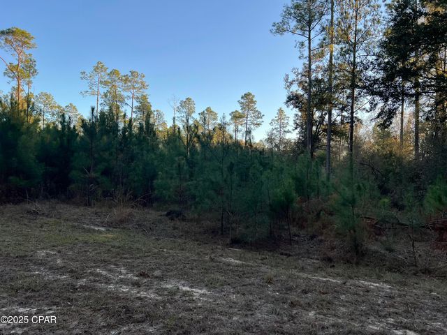 TBD Post Oak Lane, Bonifay, FL 32425
