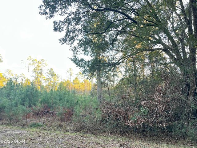 TBD Post Oak Lane, Bonifay, FL 32425
