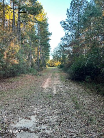 TBD Post Oak Lane, Bonifay, FL 32425