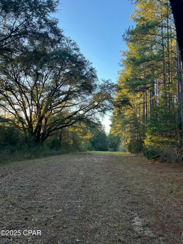 TBD Post Oak Lane, Bonifay, FL 32425