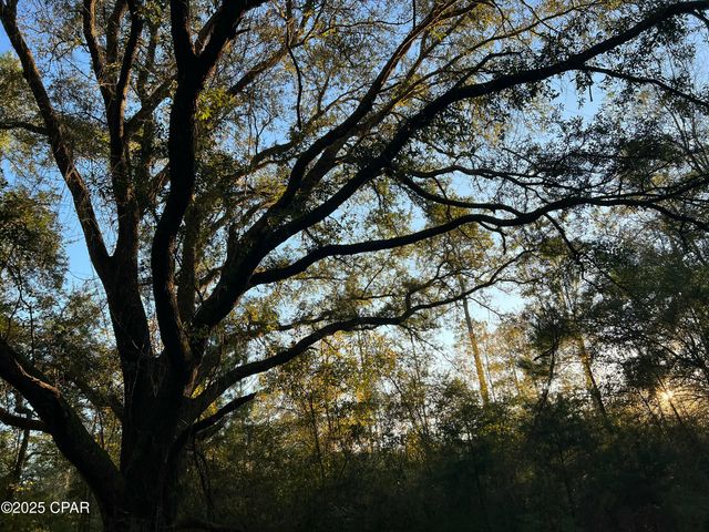 TBD Post Oak Lane, Bonifay, FL 32425