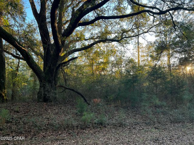 TBD Post Oak Lane, Bonifay, FL 32425