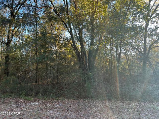 TBD Post Oak Lane, Bonifay, FL 32425