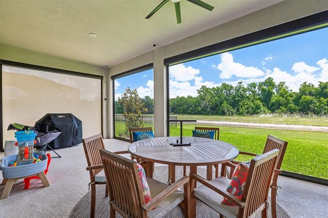 14142 SWISS BRIDGE DRIVE, Riverview, FL 33579