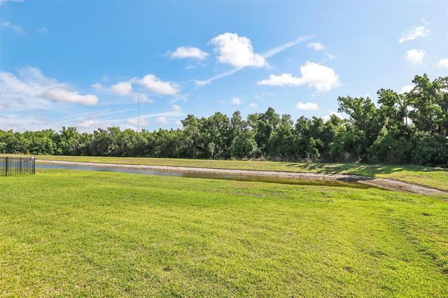 14142 SWISS BRIDGE DRIVE, Riverview, FL 33579