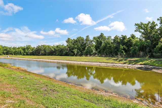 14142 SWISS BRIDGE DRIVE, Riverview, FL 33579