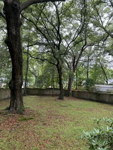 3603 Walkers Ferry Lane, Johns Island, SC 29455