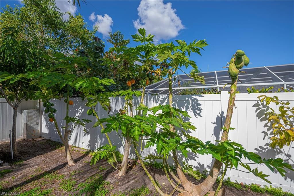 Image 28 of property listing at 3818 SW 6th PL, Cape Coral, FL 33914