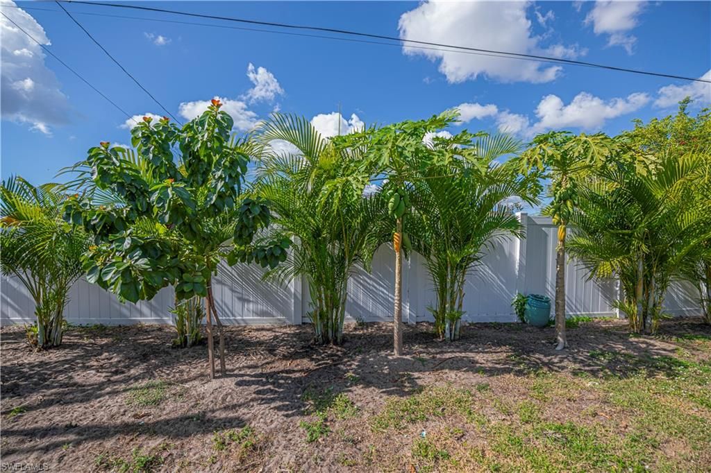 Image 29 of property listing at 3818 SW 6th PL, Cape Coral, FL 33914