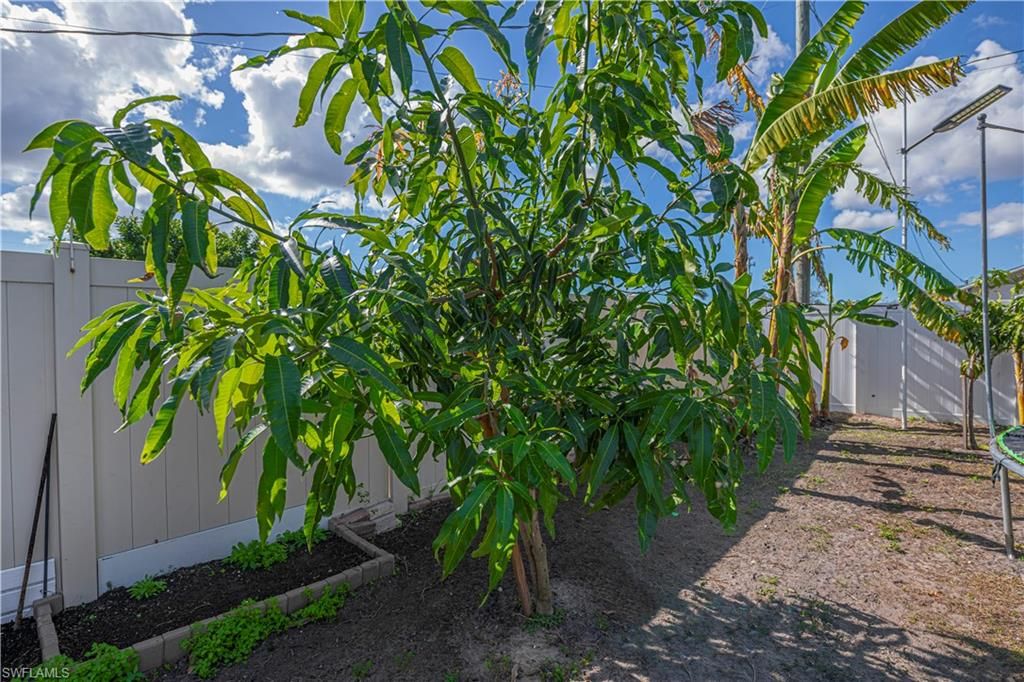 Image 30 of property listing at 3818 SW 6th PL, Cape Coral, FL 33914