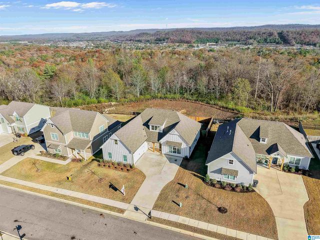 1182 CAMELLIA RIDGE DRIVE, Pelham, AL 35124