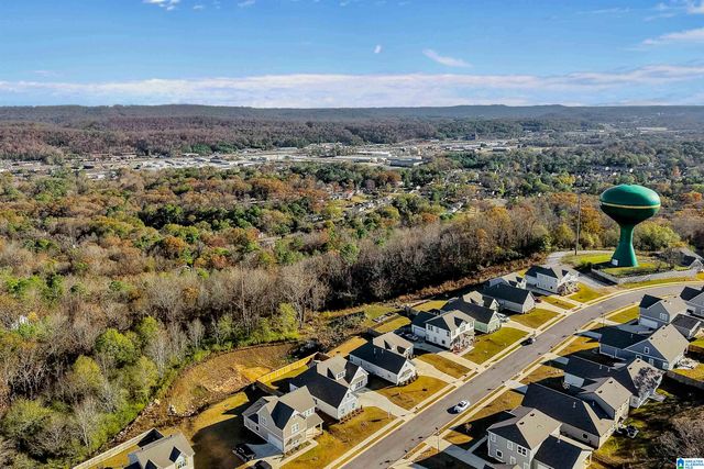 1182 CAMELLIA RIDGE DRIVE, Pelham, AL 35124