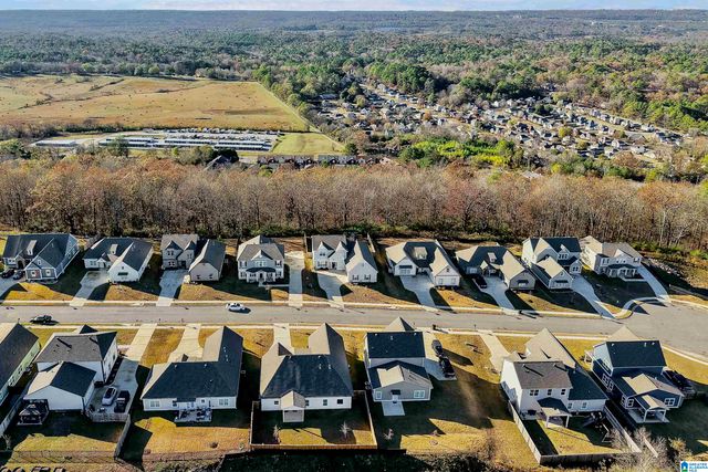 1182 CAMELLIA RIDGE DRIVE, Pelham, AL 35124