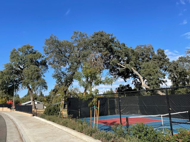 8497 Mallee Cir, Fair Oaks, CA 95628