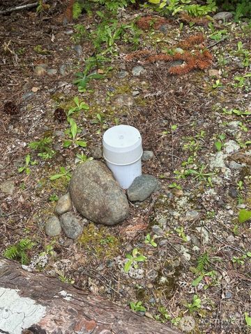 5154 N Lake Cushman Road, Hoodsport, WA 98548