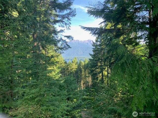 5154 N Lake Cushman Road, Hoodsport, WA 98548