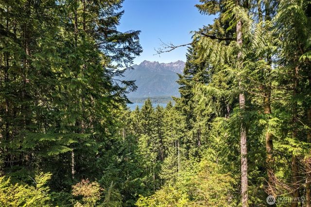 5154 N Lake Cushman Road, Hoodsport, WA 98548