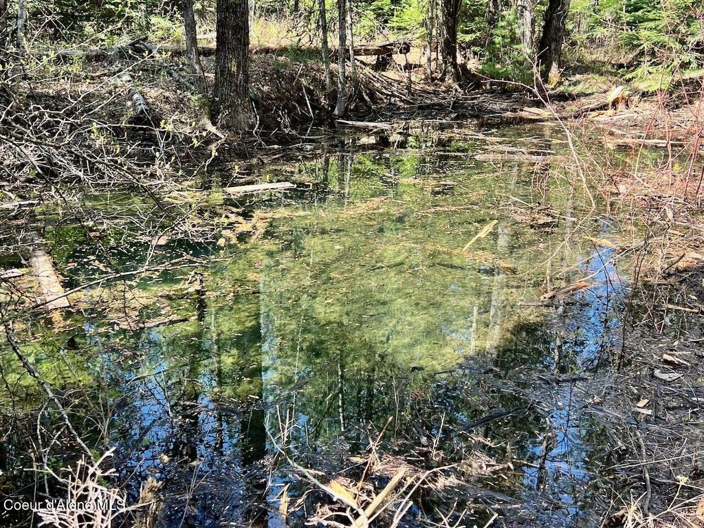 1198 Mountain View Dr, Sandpoint, ID 83864 photo 76