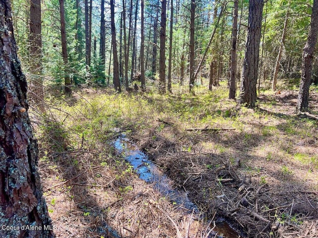 1198 Mountain View Dr, Sandpoint, ID 83864 photo 77