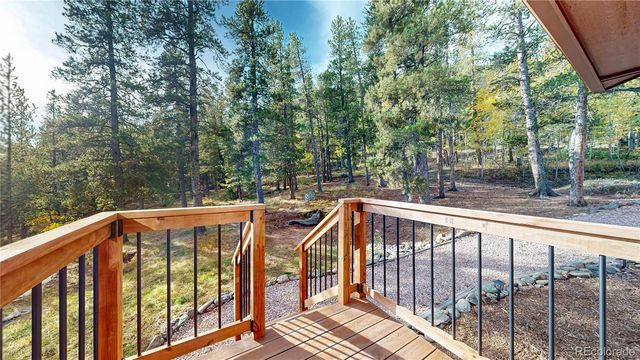 225 Renaud Road, Bailey, CO 80421