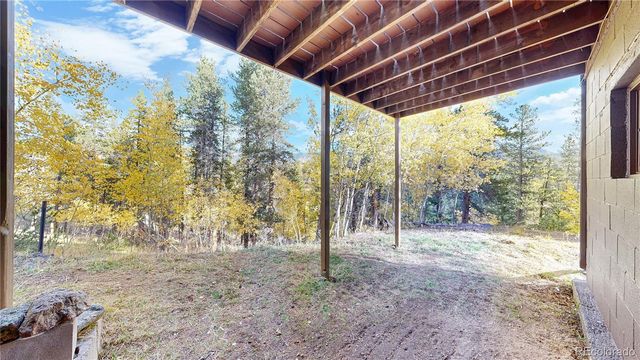 225 Renaud Road, Bailey, CO 80421