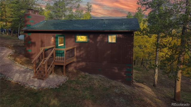 225 Renaud Road, Bailey, CO 80421