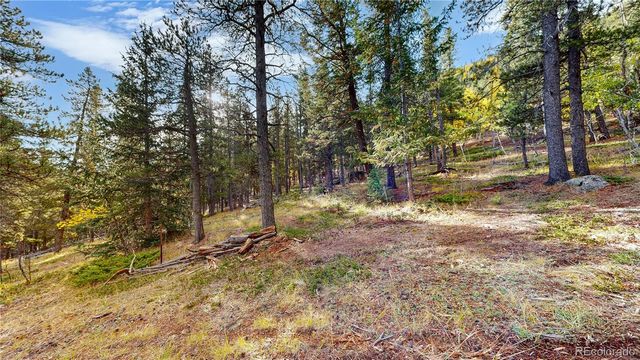 225 Renaud Road, Bailey, CO 80421