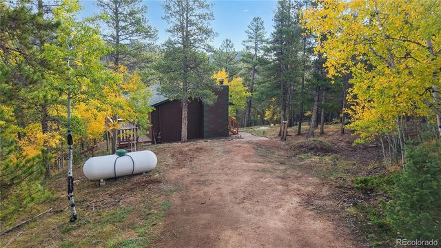 225 Renaud Road, Bailey, CO 80421