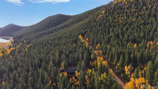 225 Renaud Road, Bailey, CO 80421
