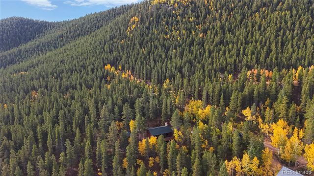 225 Renaud Road, Bailey, CO 80421