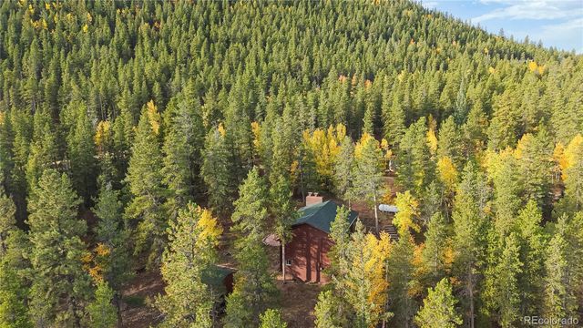 225 Renaud Road, Bailey, CO 80421